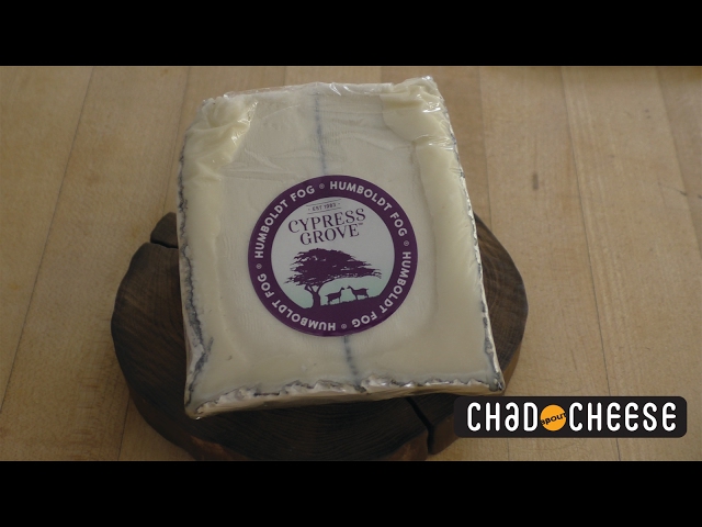 Chad about Cheese - Humboldt Fog