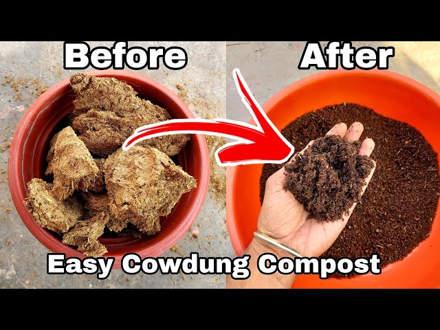 How to make compost at home for garden /  Pot (Compost Special)