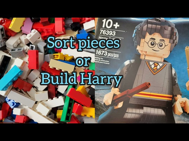 Which will it be Grump Nation??.. #lego #legoharrypotter