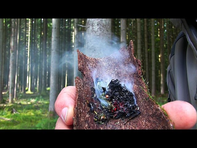 03 | Bushcraft Pflanzen - Beifuß: Essen, Feuer machen & Räuchern