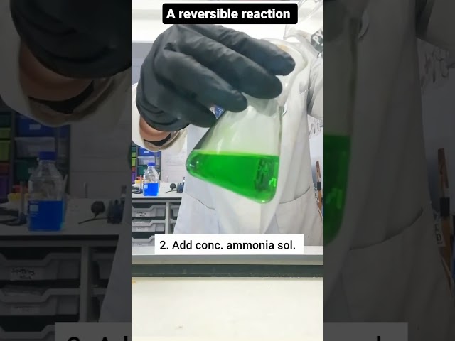 A very dramatic reversible reaction//it's chemistry 🧪🧪🧫🧫⚗️⚗️
