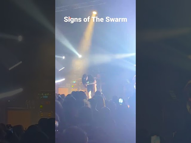 Signs of the Swarm Live in Concert