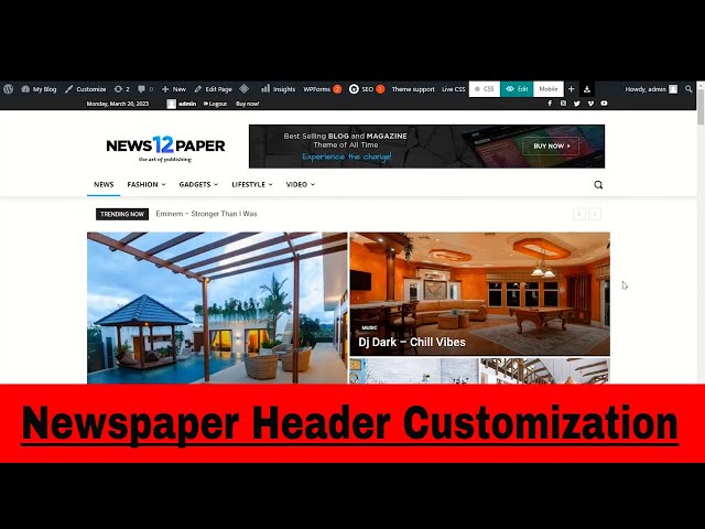 How to Customize Newspaper theme Header