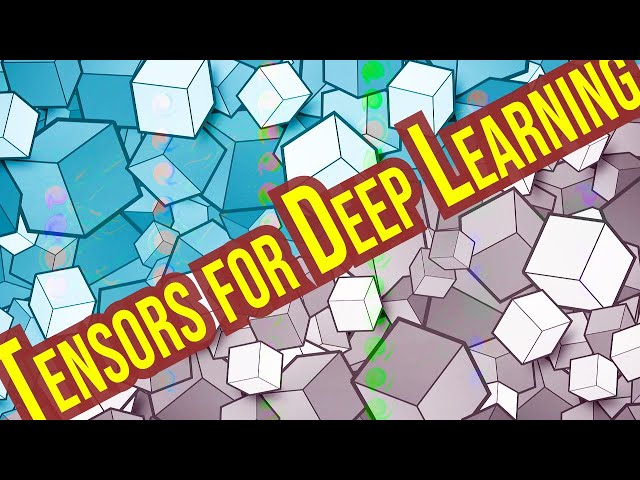 Rank, Axes, and Shape Explained - Tensors for Deep Learning