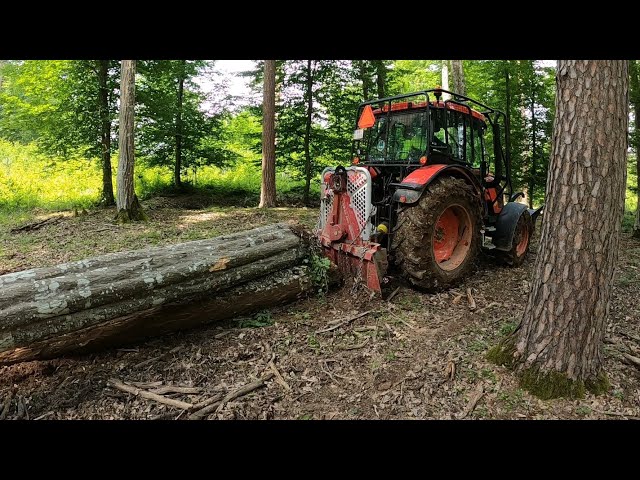 Ťažba dreva a výrub stromov v novom poraste, Stihl ms 462,Zetor Proxima, Amles, Práca v lese