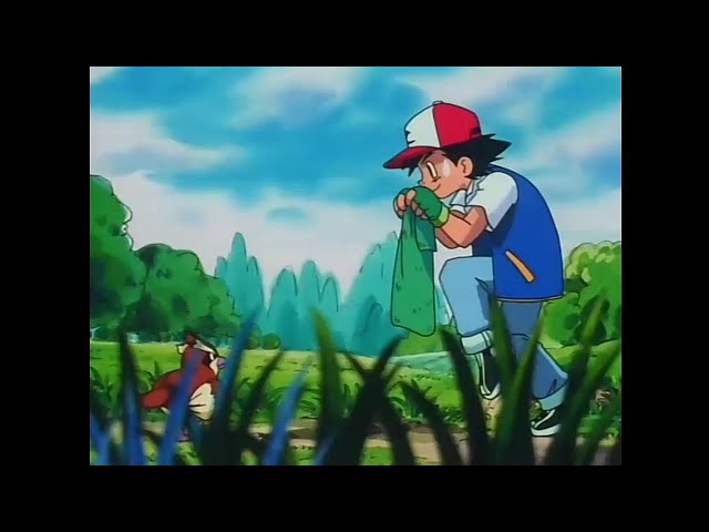 Ash tries to catch pidgey | Pokemon