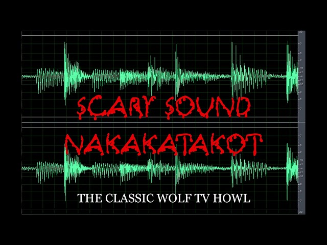 Scary Sound | The Classic Wolf TV Howl | Nakakatakot