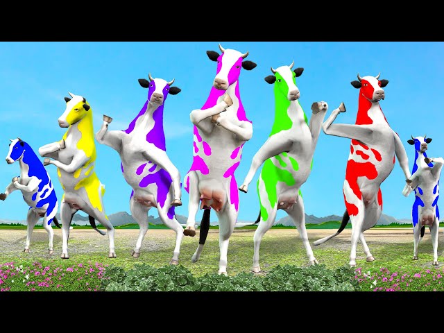 Funny Cow Dance Cow Song  Cartoon Cow Videos  Dancing Cow  3D Animated Flying Cow Dance Video
