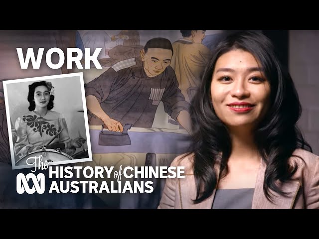 The history and evolution of the work choices of Chinese Australians | Belongings | ABC Australia