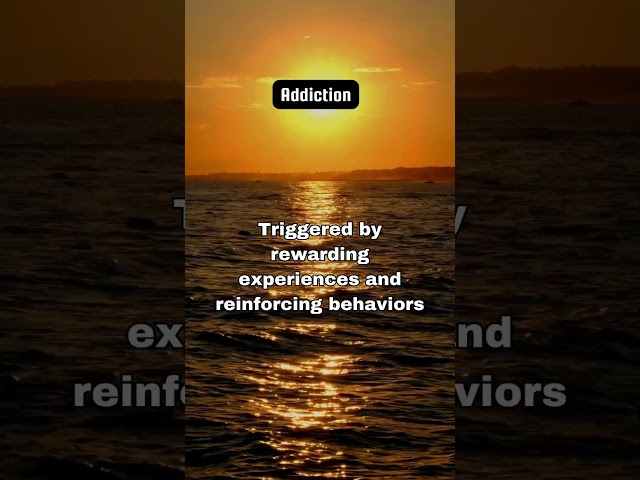 Addiction-dopamine  #addictive #dopamine #triggers #behaviour