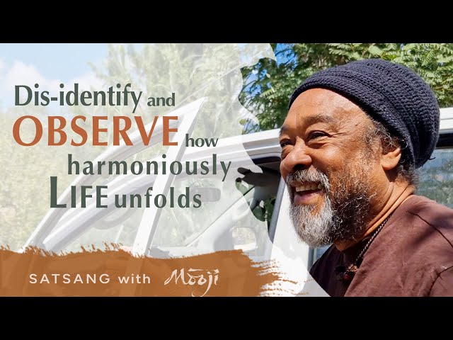 Dis-identify and Observe How Harmoniously Life Unfolds