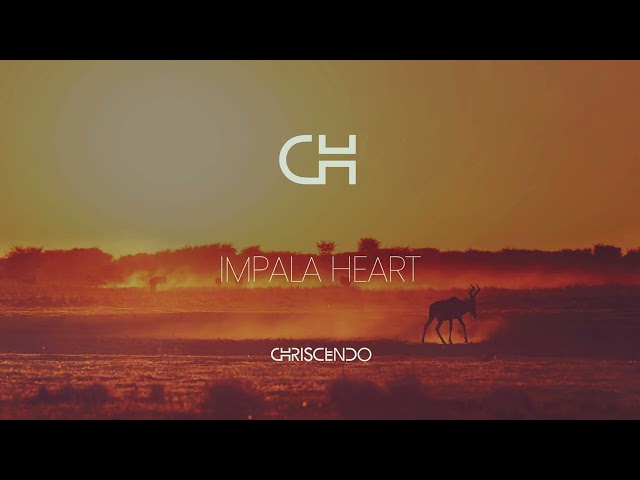 Impala Heart (Original Mix) - Chriscendo