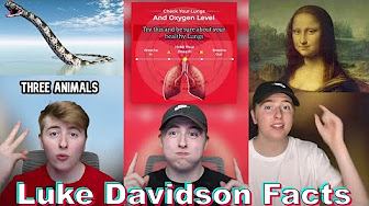 Luke Davidson TikTok Compilations
