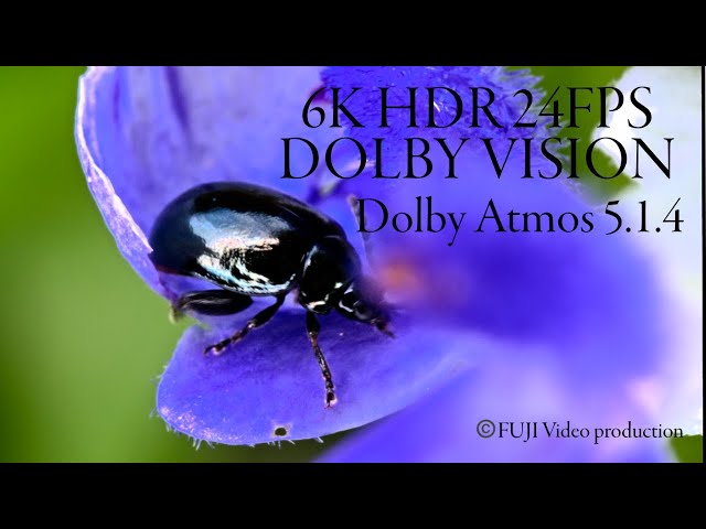6K HDR 24FPS DOLBY VISION Dolby Atmos 5.1.4 ｛Macro world｝