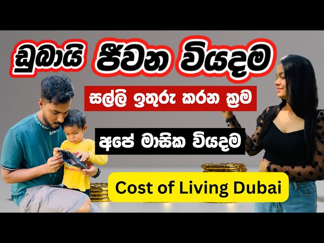 ඩුබායි අපේ මාසීක වියදම 💵| Cost of Living in Dubai| Room Rent🏠| Transport 🚌| Grocery 🛒 | Sinhala