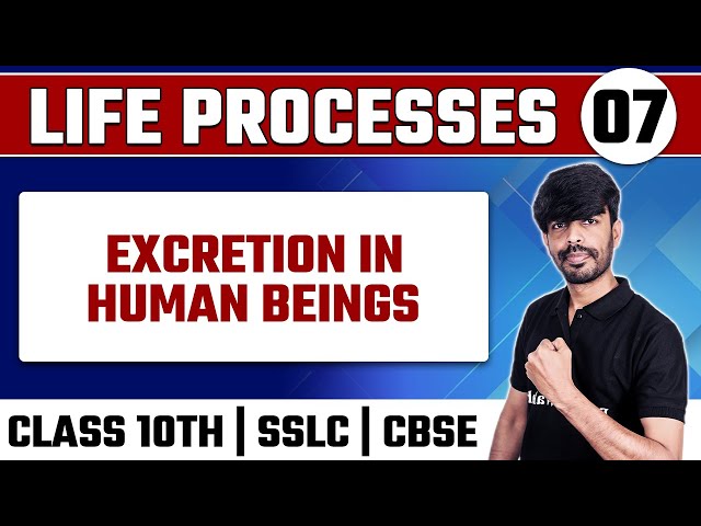 LIFE PROCESSES- 07 | Excretion in Human Beings | Biology | Class 10th / SSLC / CBSE