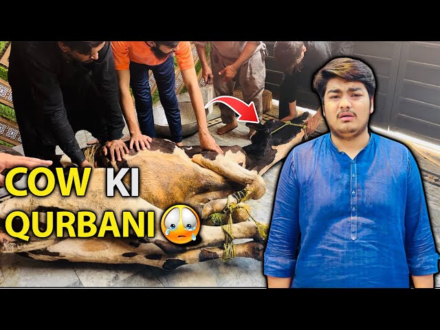 Cow Ki Qurbani Bi Kar Di😭Sab Emotional Ho Gay🥺#cow #nanobhaivlogs #viralvlog #trendingvlogs #funny