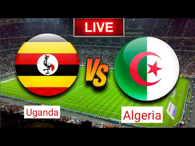 Uganda Vs Algeria CAF World Cup Qualifiers Live Match Live 2024
