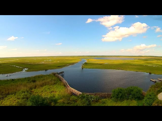 St Johns River Leroy Wright Recreation Area Aerial Drone Video
