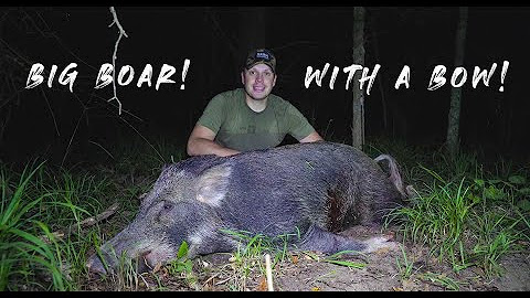 Tyler's Property | Bowhunting, Property Management, Deer, Hogs, and Homesteading