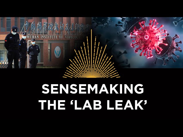 Sensemaking the 'Lab Leak', Rebel Wisdom