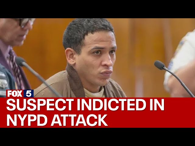 Suspect indicted in brutal attack on NYPD officers