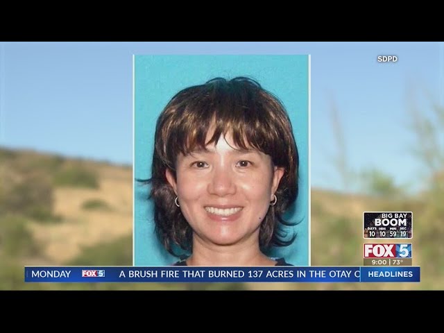 Search for missing hiker