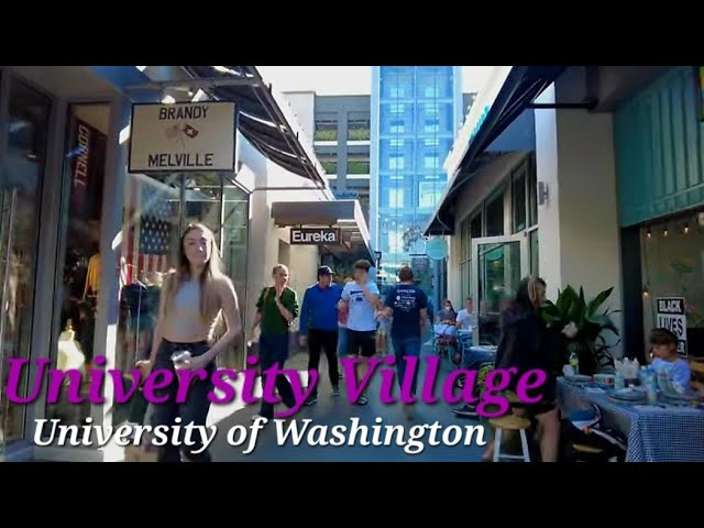 Last Sunny Weekend of Summer in University Village, Seattle University of Washington USA 🇺🇸