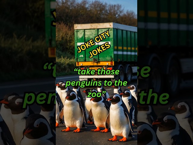 A lorry driver is driving 200 penguins #jokes #shorts #humor #comedy  @JokeCityvid