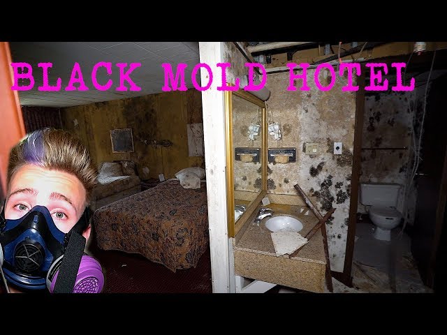 Abandoned Days INN hotel - Black Mold Infestation | Exploring With Josh