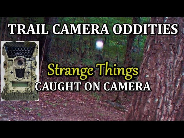 Trail Camera Oddities of Strange Things Caught on Camera
