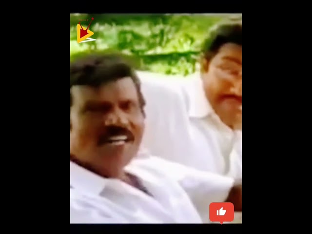 Goundamani sathyaraj comedy status | tamil comedy status | goundamani dialogues scenes