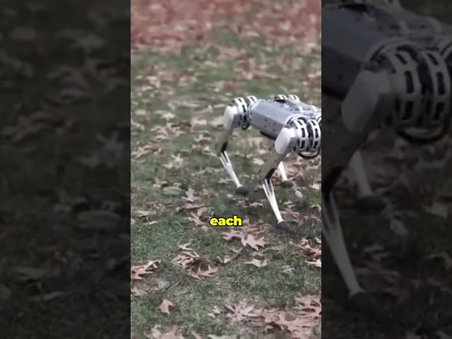 MIT Cheetah  The Robotic Marvel with Military Potential