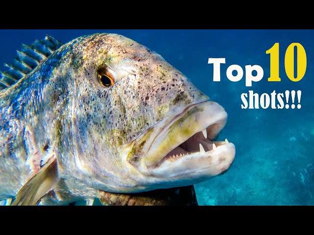 Top 10 SHOTS Βest Moments Compilation