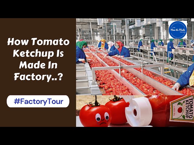 Tomato Ketchup Manufacturing Plant | how Tomato Ketchup Made in Factory | How its made