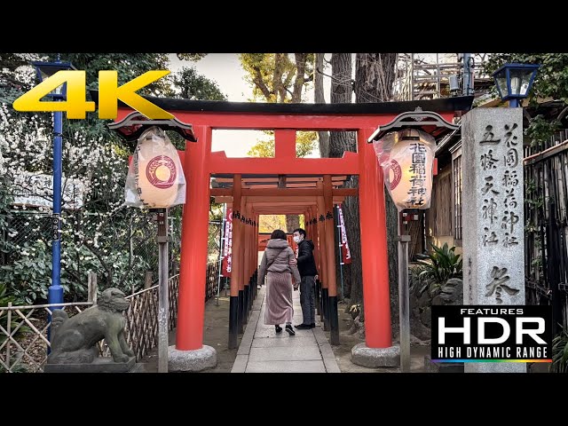 ⛩️ [4K HDR] So CUTE! Visit Of Hanazono Inari Jinja Shrine In Ueno Park | Tokyo, Japan 🇯🇵