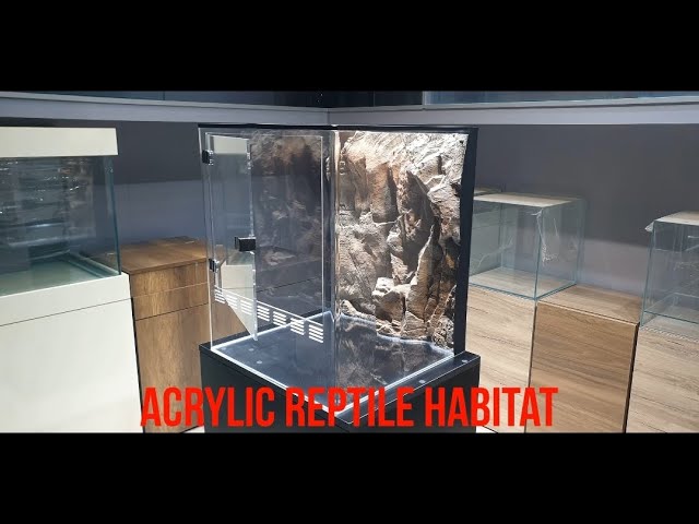 Acrylic Terrarium - Reptiles Will Feel Special - 3D Background Plexi Terrarium