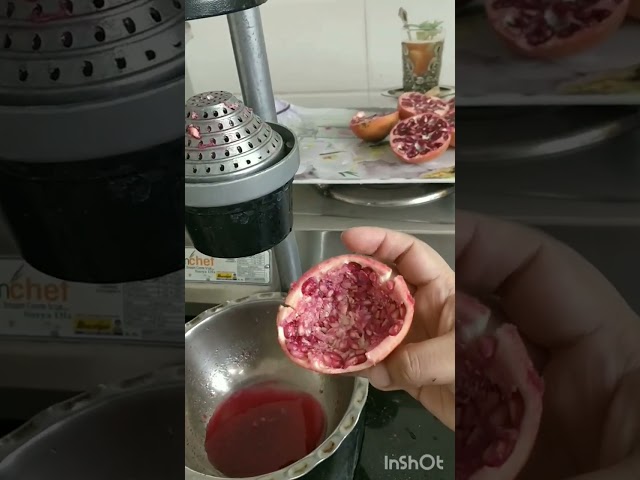 Instant Pomegranate juice with hand press Juicer machine