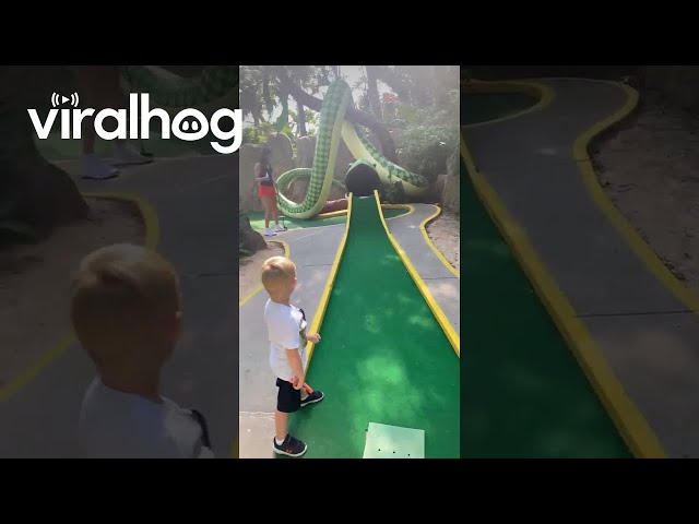 Casually Crazy Miniature Golf Hole-In-One || ViralHog