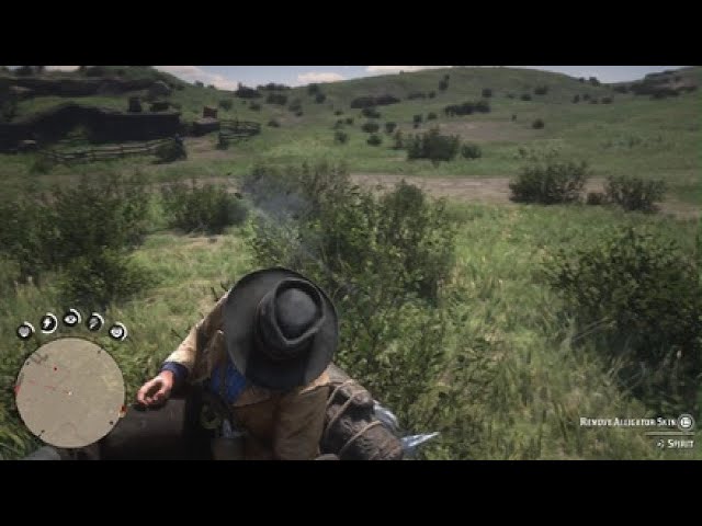 Red Dead Redemption 2_20240622154908