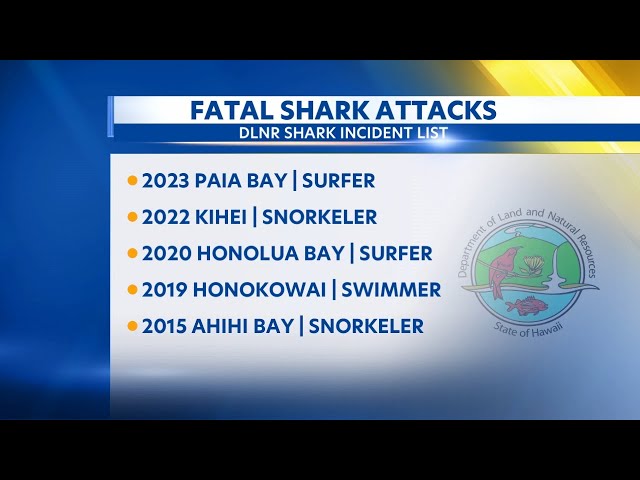 Ninth fatal shark attack in Hawaii recorded since 1995