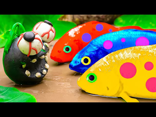 Survival Battle Koi Sword Fighting With Fruit People, Catfish, Carp Stop Motion Fish In Mud - Coco