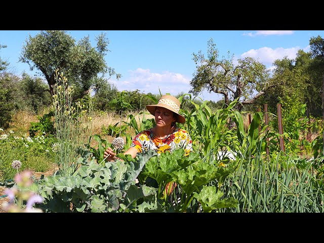 Off Grid Living: Growing our own Food in a Cottage Garden