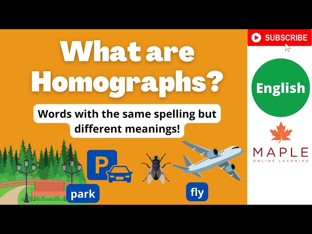 What are Homographs? ► Words with multiple meanings! | Learn English