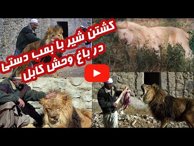 Kabul Zoo after War باغ وحش کابل بعد از جنگ ها