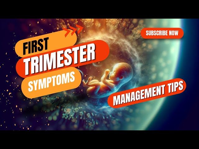 Surviving the First Trimester: Symptoms Unveiled & Management Tips