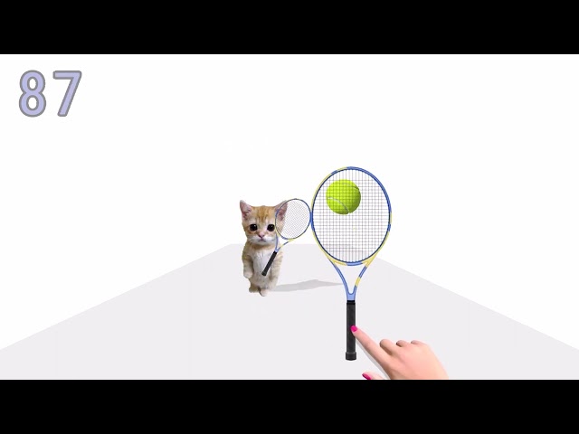 Tennis Cat #cat #catlover #catvideos