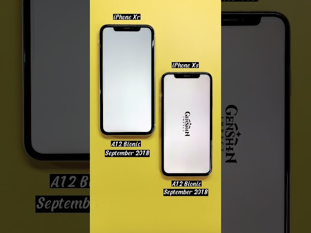 iPhone Xr vs iPhone Xs #comparasion #iphone #shorts #shortvideo