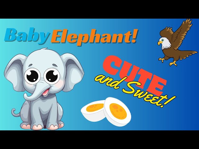 My Favorite E Word | Letter E | Educational Videos for Kids