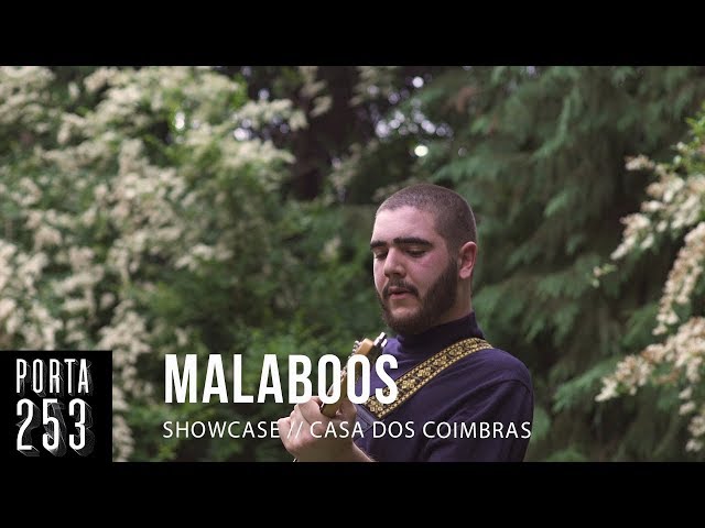 MALABOOS // Ao Vivo na Porta 253 (+Entrevista)